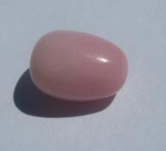 Conch Pearl