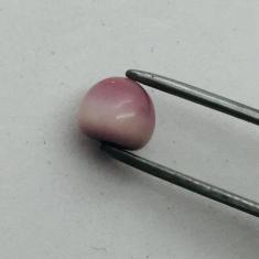 quahog pearl