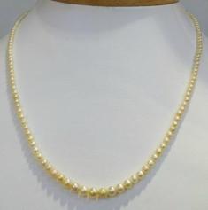 Natural Persian Gulf Pearl Natural Persian Gulf Pearl