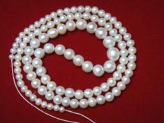 Natural Pearl Necklace