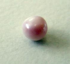 pink and white blue mussel pearl