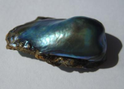 25mm Abalone Pearl