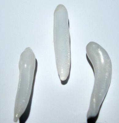 25mm Long Drop Set of 3 Clam Pearls for Sale