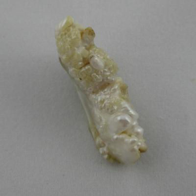 28.27 carat USA Natural Pearl in Shape of Whale Tail