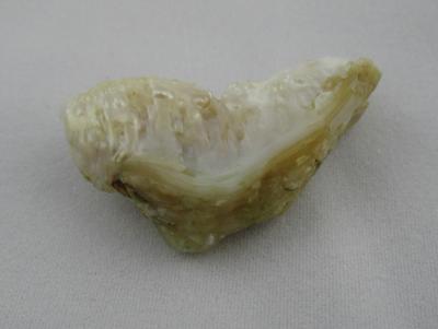 28.27 carat USA Natural Pearl in Shape of Whale Tail