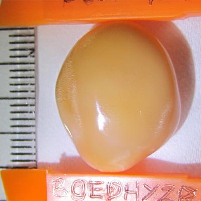 28.8 carats Cassis Cornuta Pearl