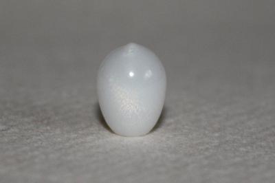 3.75 ct clam pearl drop shape