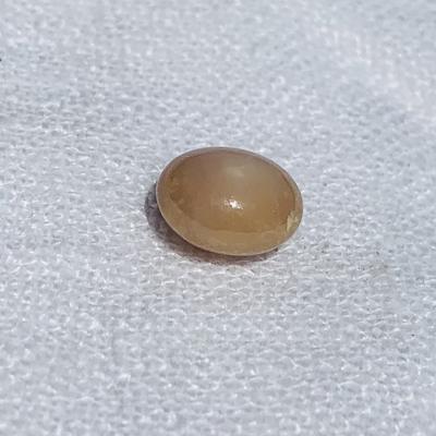 3+ Carat Light Brown Conch Pearl Oval