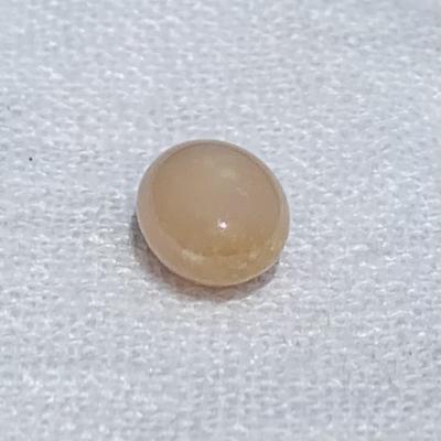3+ Carat Light Brown Conch Pearl Oval