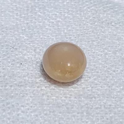 3+ Carat Light Brown Conch Pearl Oval