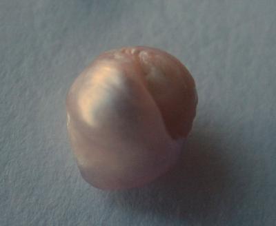 3.5 carat Natural Freshwater Pink Pearl