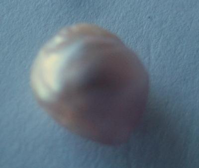 3.5 carat Natural Freshwater Pink Pearl