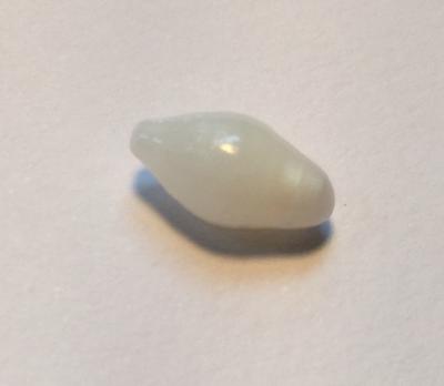 3.40 Carat Pointed Cylinder Clam Pearl