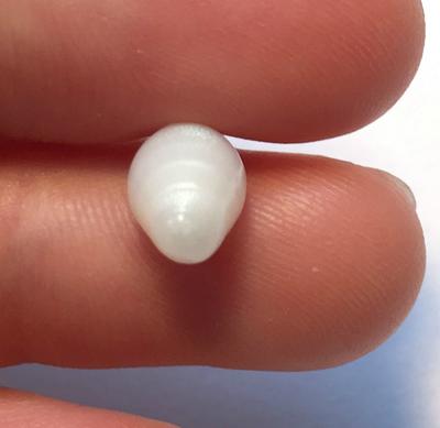 3.40 Carat Pointed Cylinder Clam Pearl