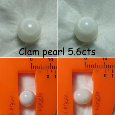 5.6ct clam pearl