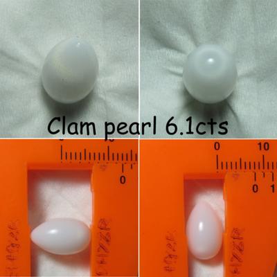 6.1ct clam pearl