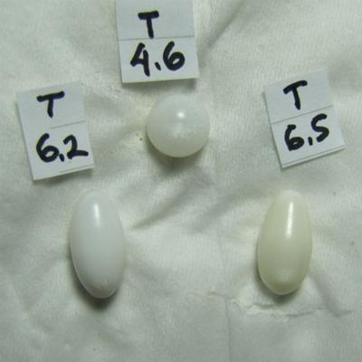 Tridacna pearls 17.3 carats loose pearl