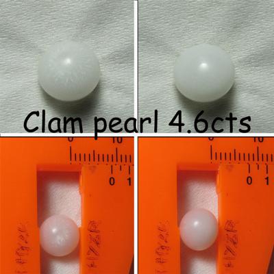 Clam Pearls 4.6 cts 