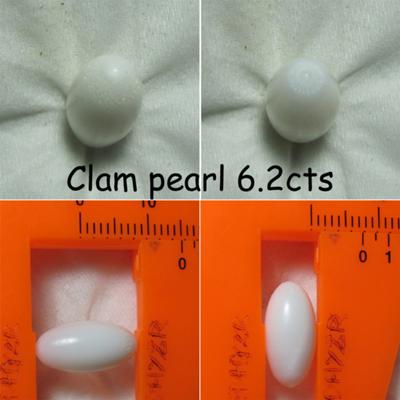 Clam Pearls 6.2 cts