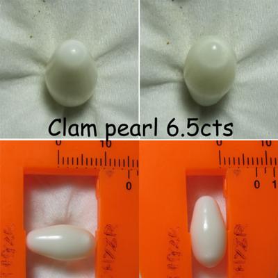Clam Pearls 6.5cts 