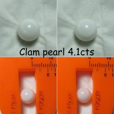 clam pearls 4.1cts 