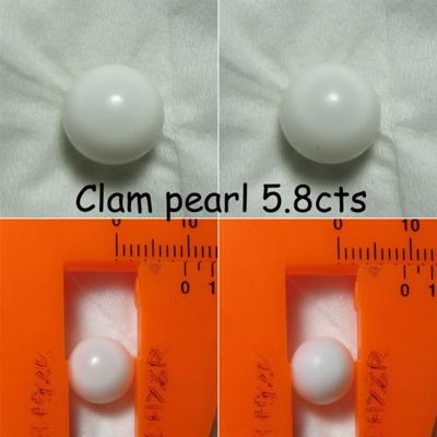 clam pearls 5.8cts 
