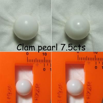 clam pearls 7.5cts 