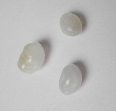3 Clam Pearls 8+ Carats Total for Sale