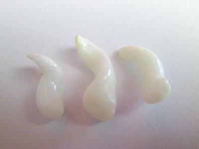 3 Clam Pearls Curly Drop Shape 14+ carats Total 18+mm