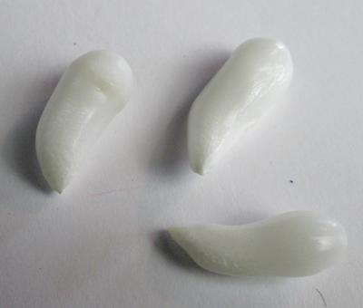 3 Clam Pearls Curved Drop Shape 27+ carats 