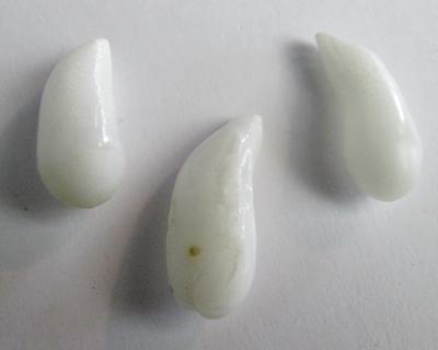 3 Clam Pearls Curved Drop Shape 27+ carats 