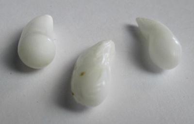 3 Clam Pearls Curved Drop Shape 27+ carats 