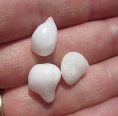 3 Clam Pearls Drop Shape 18+ carats Flame