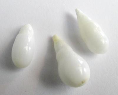 3 Clam Pearls Drop Shape 23+ carats Total 16+mm
