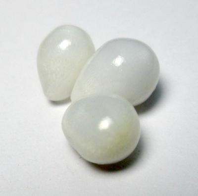 3 Clam Pearls in Drop Shape Set Full Flame on All 3 Clam Pearls in Drop Shape Set Full Flame on All