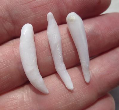 3 Clam Pearls Long Drops with Flame 13 carats 27mm