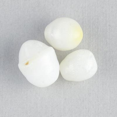 3 Clam Pearls Pendant and Earring Set 10.95 Carats Total