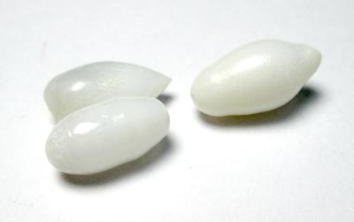 3 Clam Pearls Set Full Flame on 2