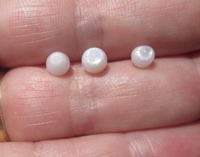 3 Clam Pearls with Full Flame 