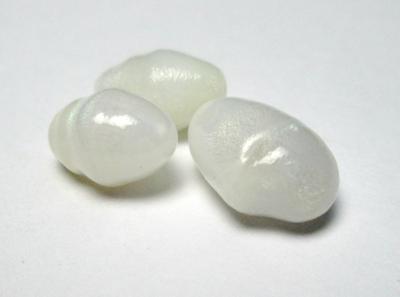 3 Clam Pearls with Full Flame Oval Set 12 carats Total