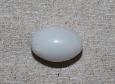 3.6 ct  Clam Pearl