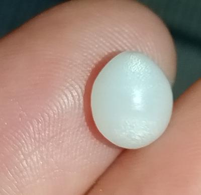  Pearl
