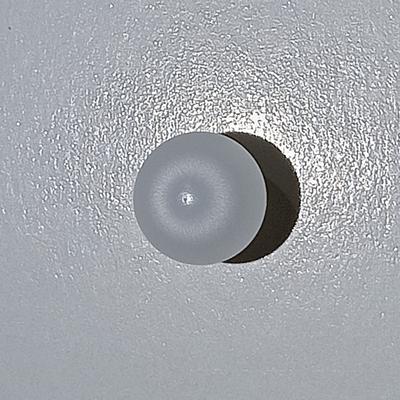 3+ ct Clam Pearl with Flame for Sale