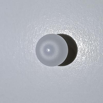 3+ ct Clam Pearl with Flame for Sale