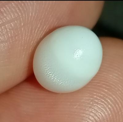 3+ ct Clam Pearl with Strong Flame for Sale