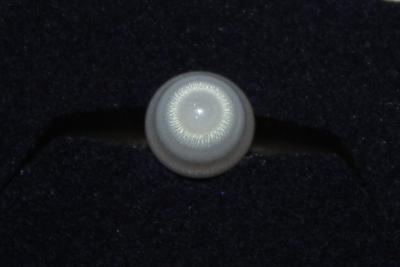 3.8 cts Clam Pearl