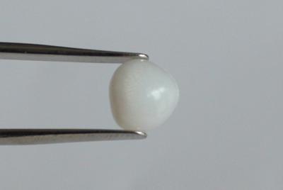 3.1ct clam pearl