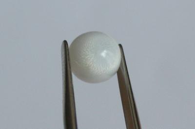 3.1ct clam pearl