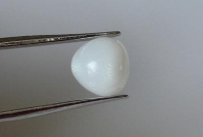 3.1ct clam pearl