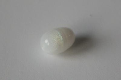 3.9 cts Clam Pearl